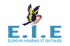 Logo I.E.I