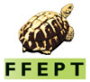 Logo ffept