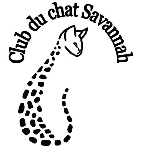 club du chat savannah